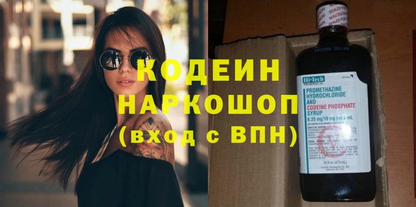 гидра Елабуга