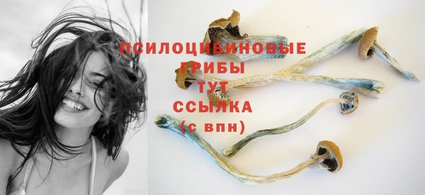 тгк Дмитров