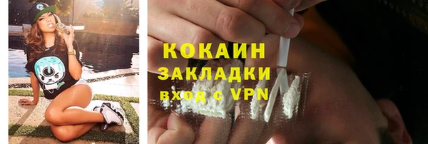 spice Дмитриев