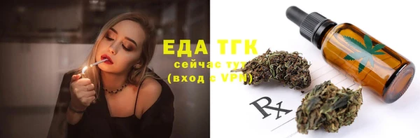 тгк Дмитров