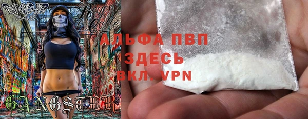 spice Дмитриев