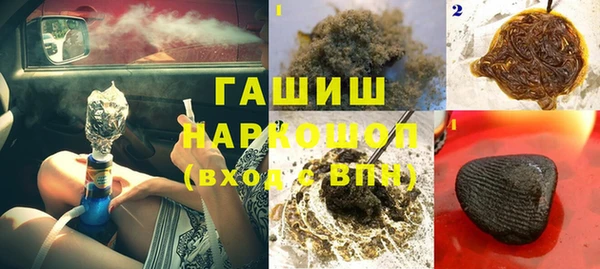 spice Дмитриев