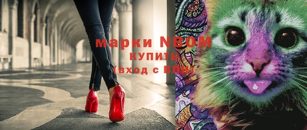 spice Дмитриев