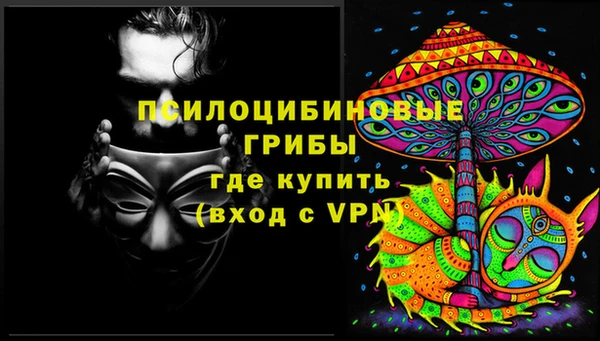 тгк Дмитров