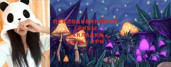 тгк Дмитров