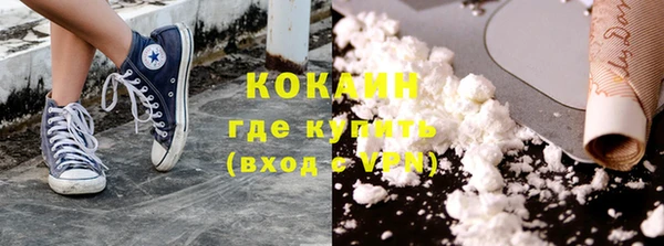гидра Дмитровск