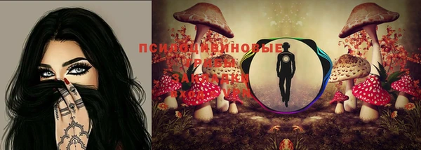 spice Дмитриев